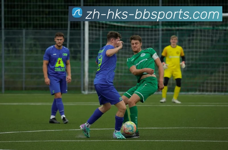 BBSport体育APP下载发展历程